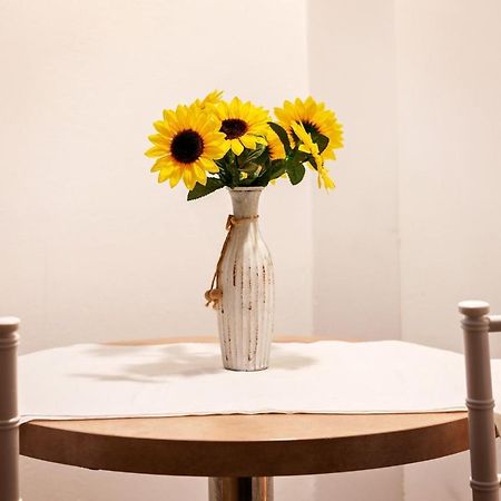 Diac Apartment Center Μπρασόβ Εξωτερικό φωτογραφία