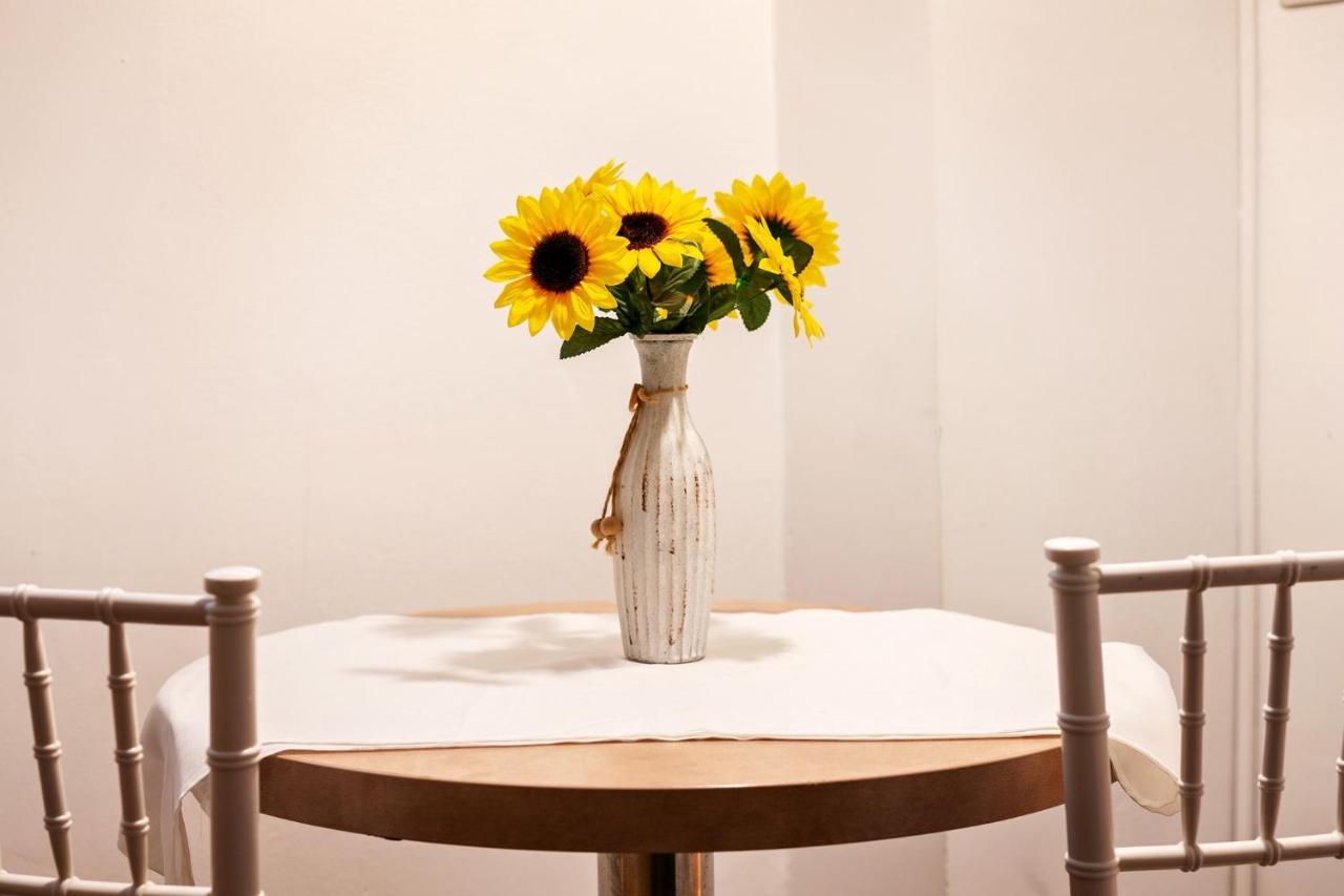 Diac Apartment Center Μπρασόβ Εξωτερικό φωτογραφία